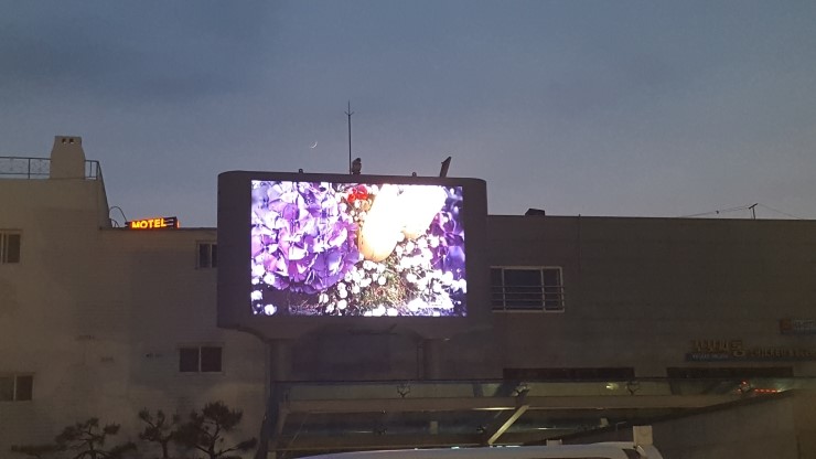 실외용 - 여수 이순신 광장 전광판 설치